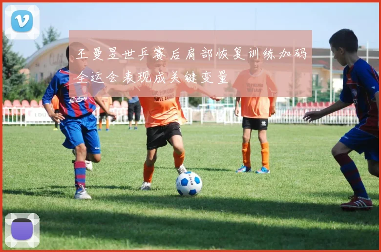 王曼昱世乒赛后肩部恢复训练加码全运会表现成关键变量