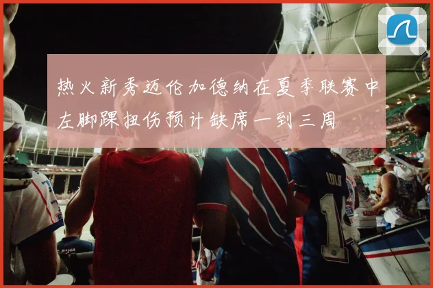 热火新秀迈伦加德纳在夏季联赛中左脚踝扭伤预计缺席一到三周