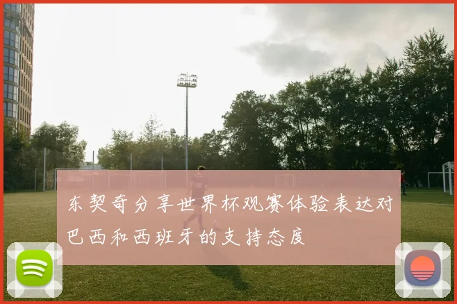 东契奇分享世界杯观赛体验表达对巴西和西班牙的支持态度